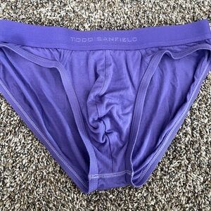 Todd Sanfield Purple Men's Briefs